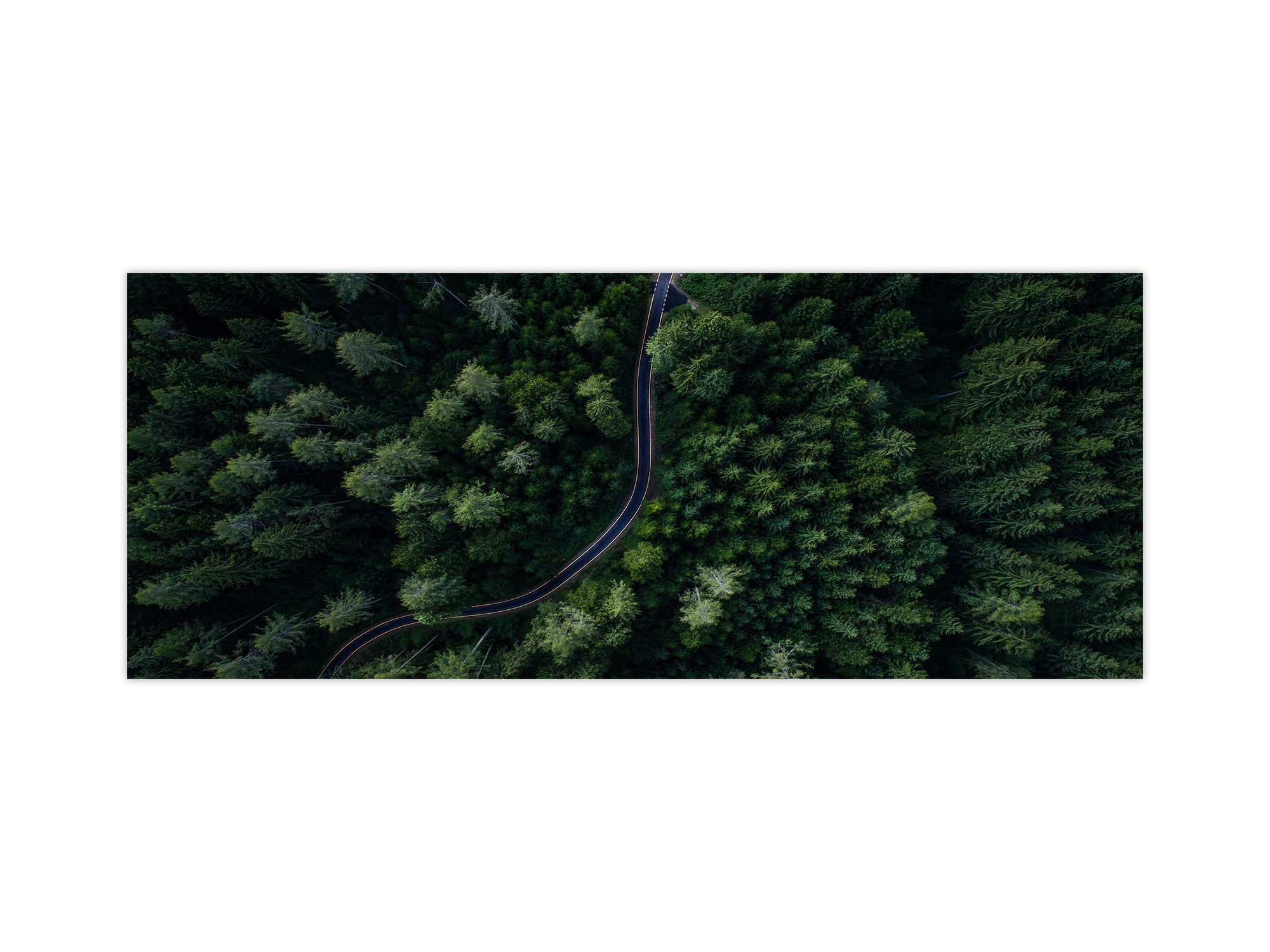 Wide format Wall panel - Design backsplash BBS34 w/wo magnetic properties : Miscellaneous series : Forest road