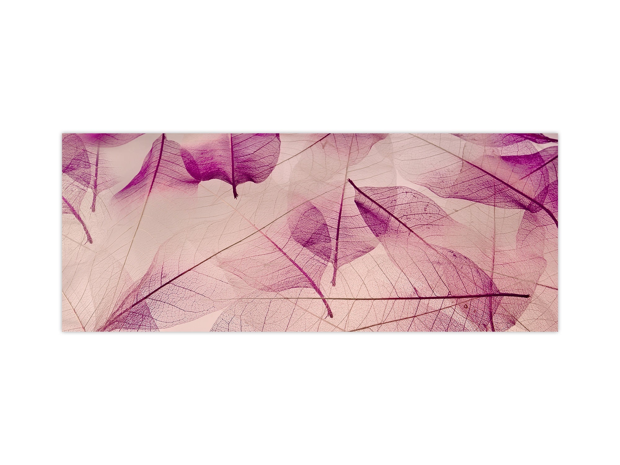 Design glass backsplash - Tempered Glass BBS29 splashback w/wo magnetic properties : Nature Series : Transparent purple leaves