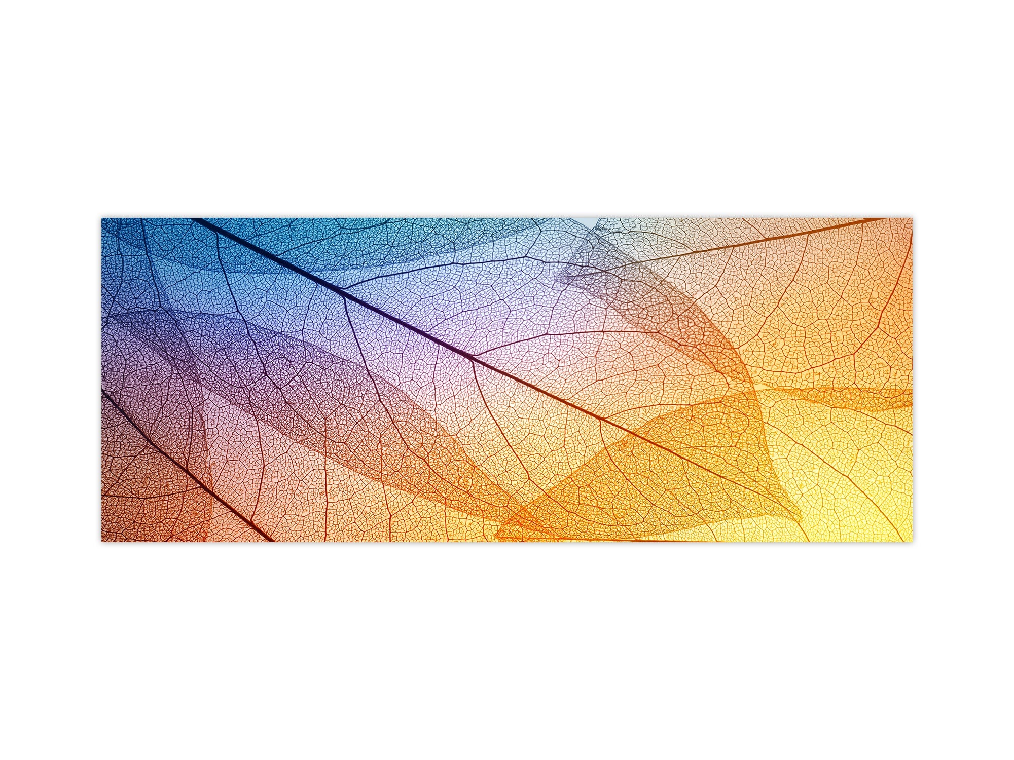 Design glass backsplash - Tempered Glass BBS29 splashback w/wo magnetic properties : Nature Series : Colourful transparent leaves