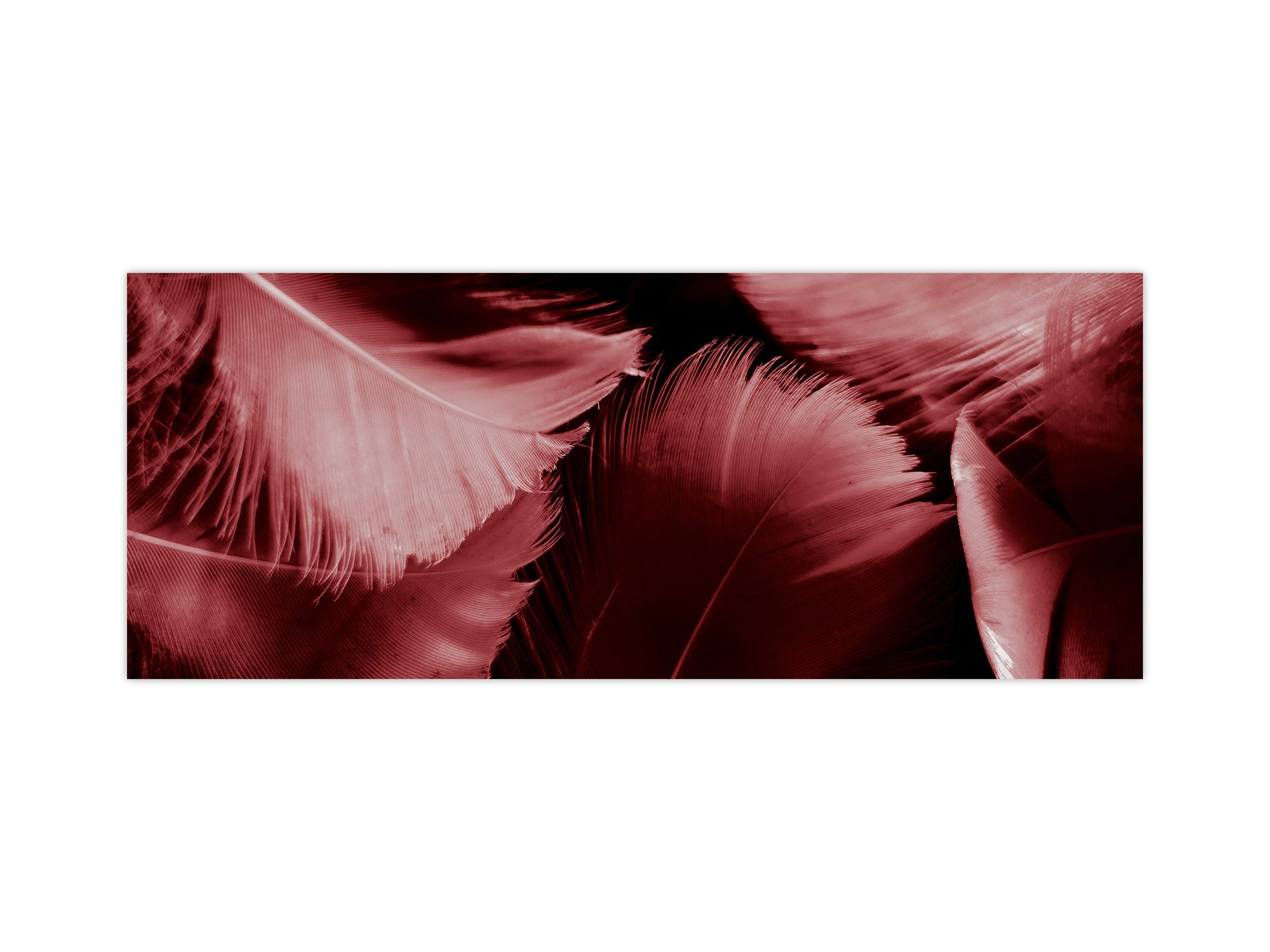 Stylish glass backsplash - Photo glass upstand BBS31 w/wo magnetic properties : Textures series : White and red feathers