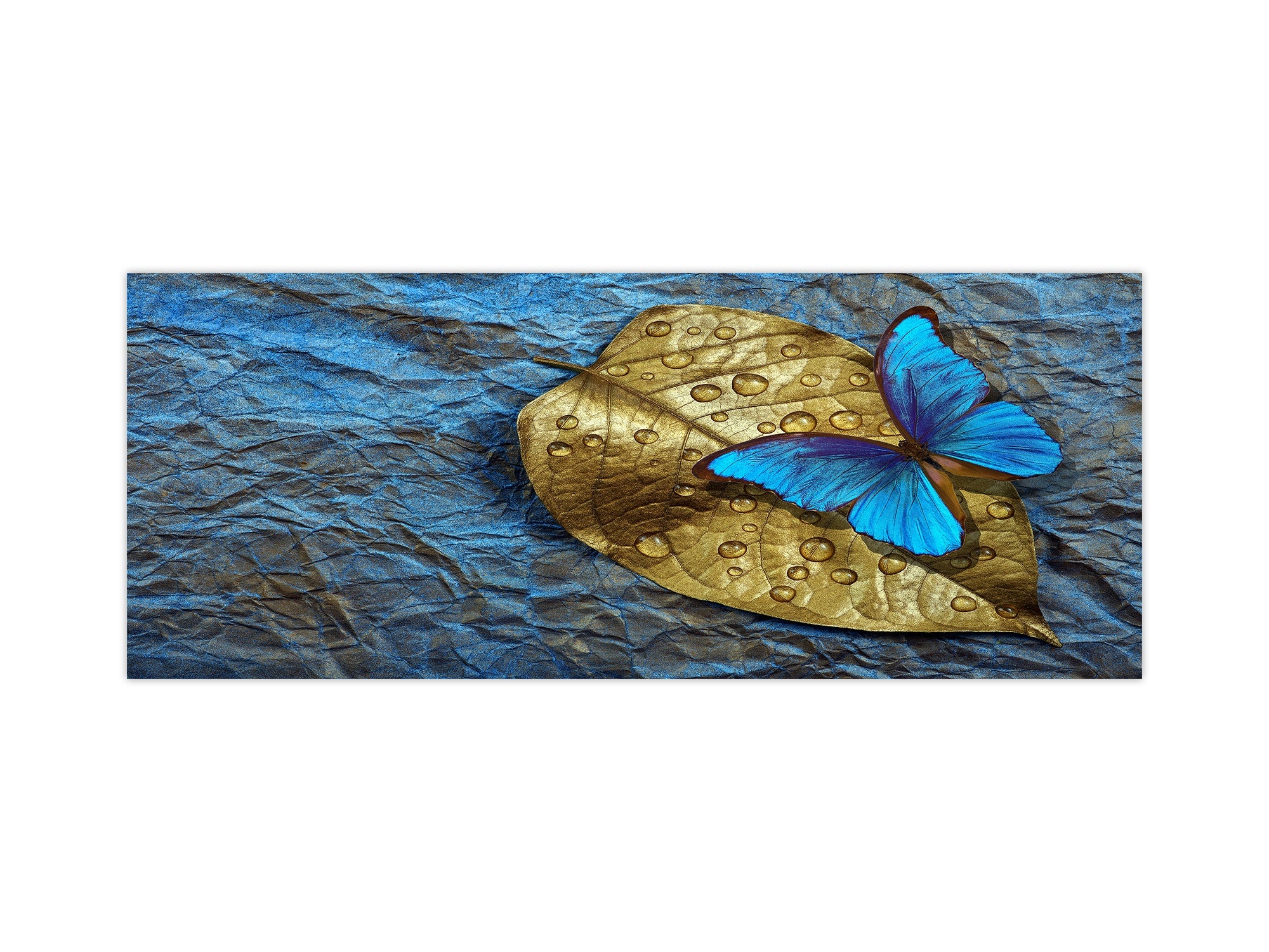 Stunning glass wall art - Wide format kitchen backsplash BBS32 w/wo magnetic properties : Animals series : Tropical butterfly 1