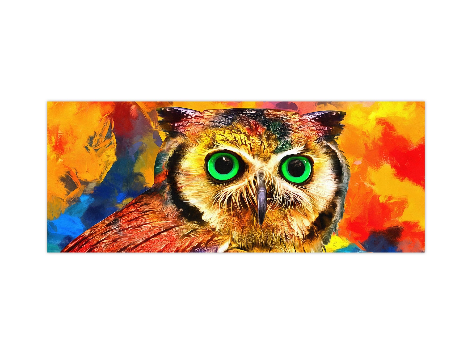 Stunning glass wall art - Wide format kitchen backsplash BBS32 w/wo magnetic properties : Animals series : Colourful owl