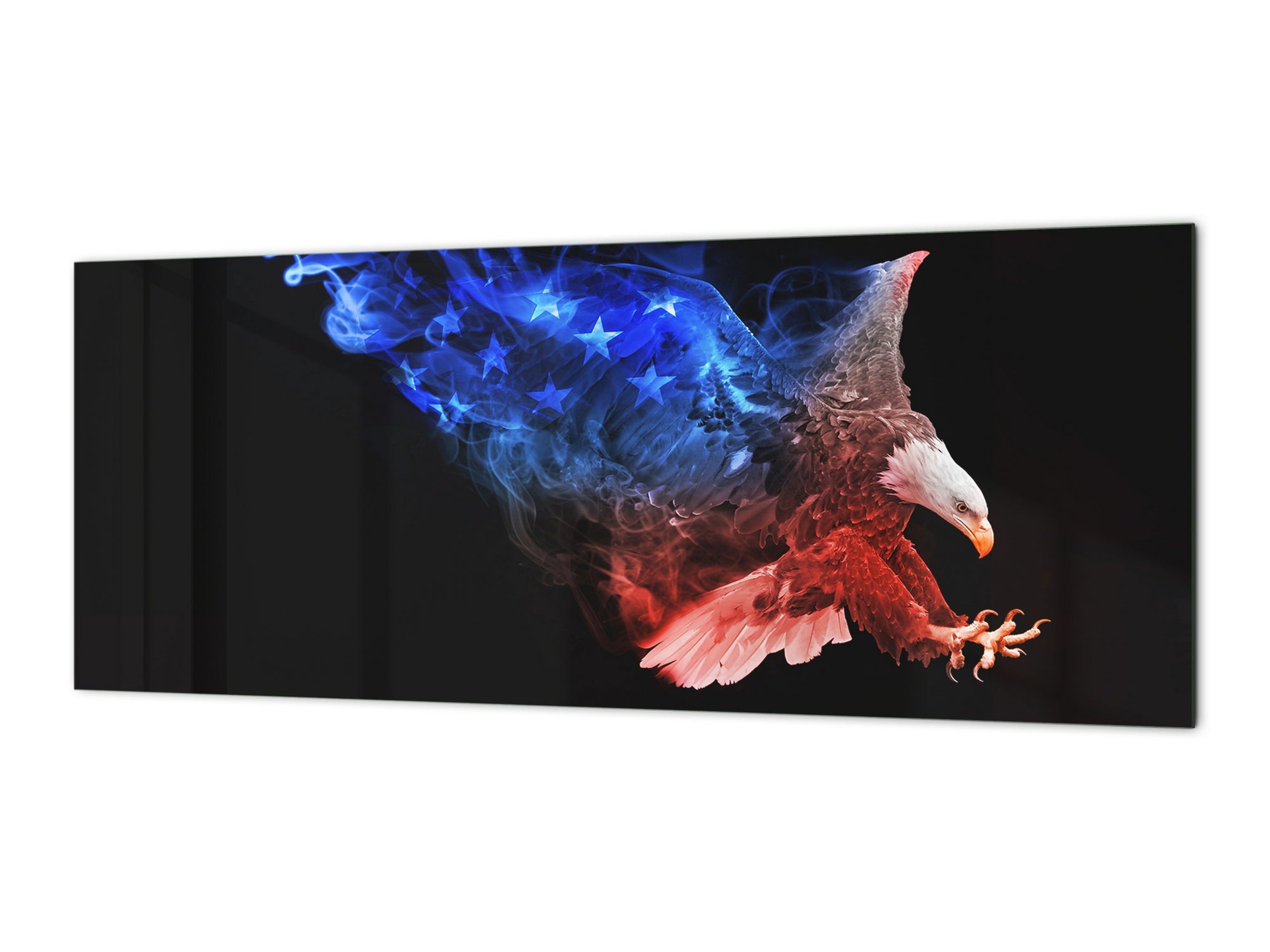 Stunning glass wall art - Wide format kitchen backsplash BBS32 w/wo magnetic properties : Animals series : Colourful eagle