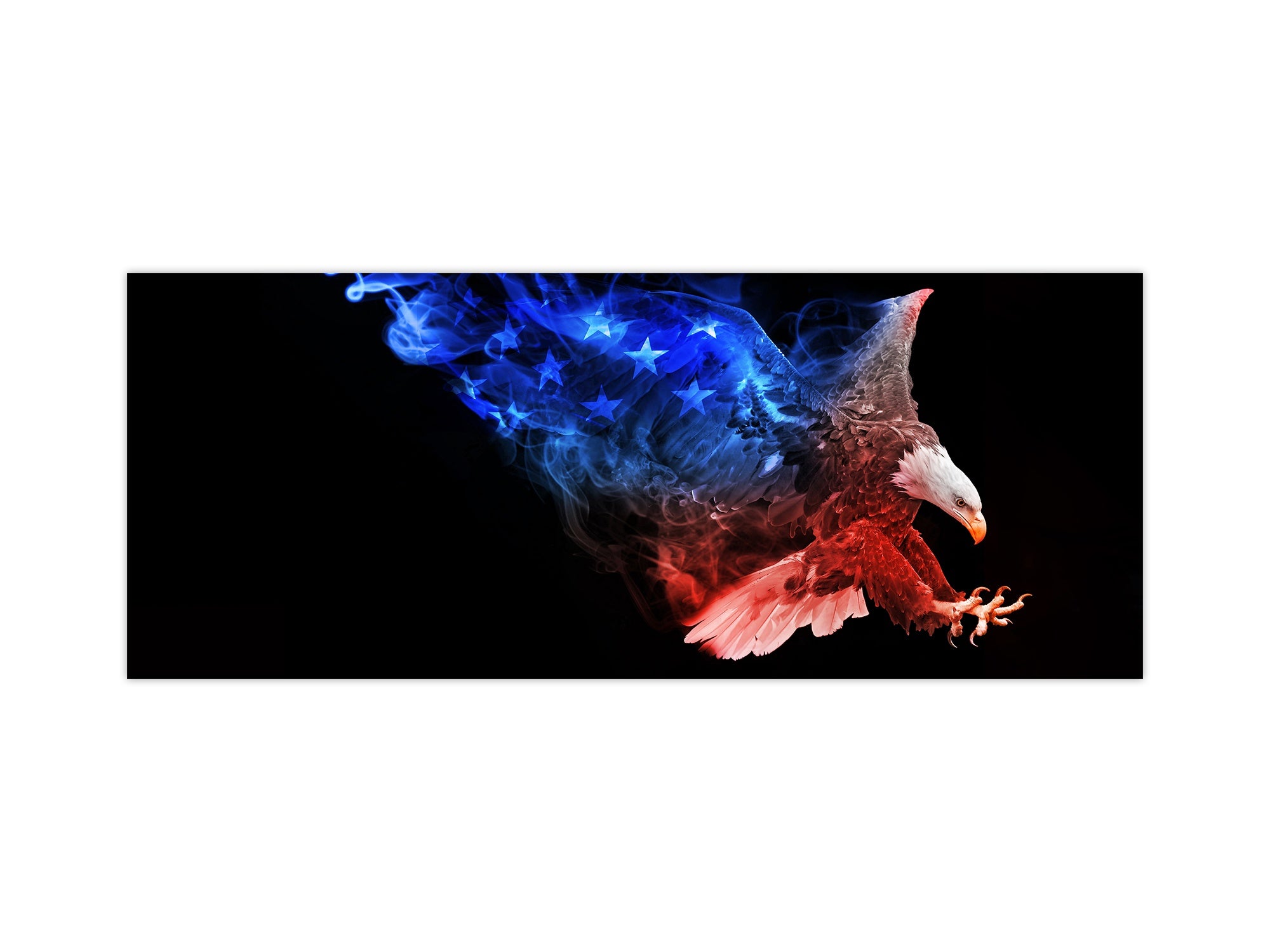 Stunning glass wall art - Wide format kitchen backsplash BBS32 w/wo magnetic properties : Animals series : Colourful eagle