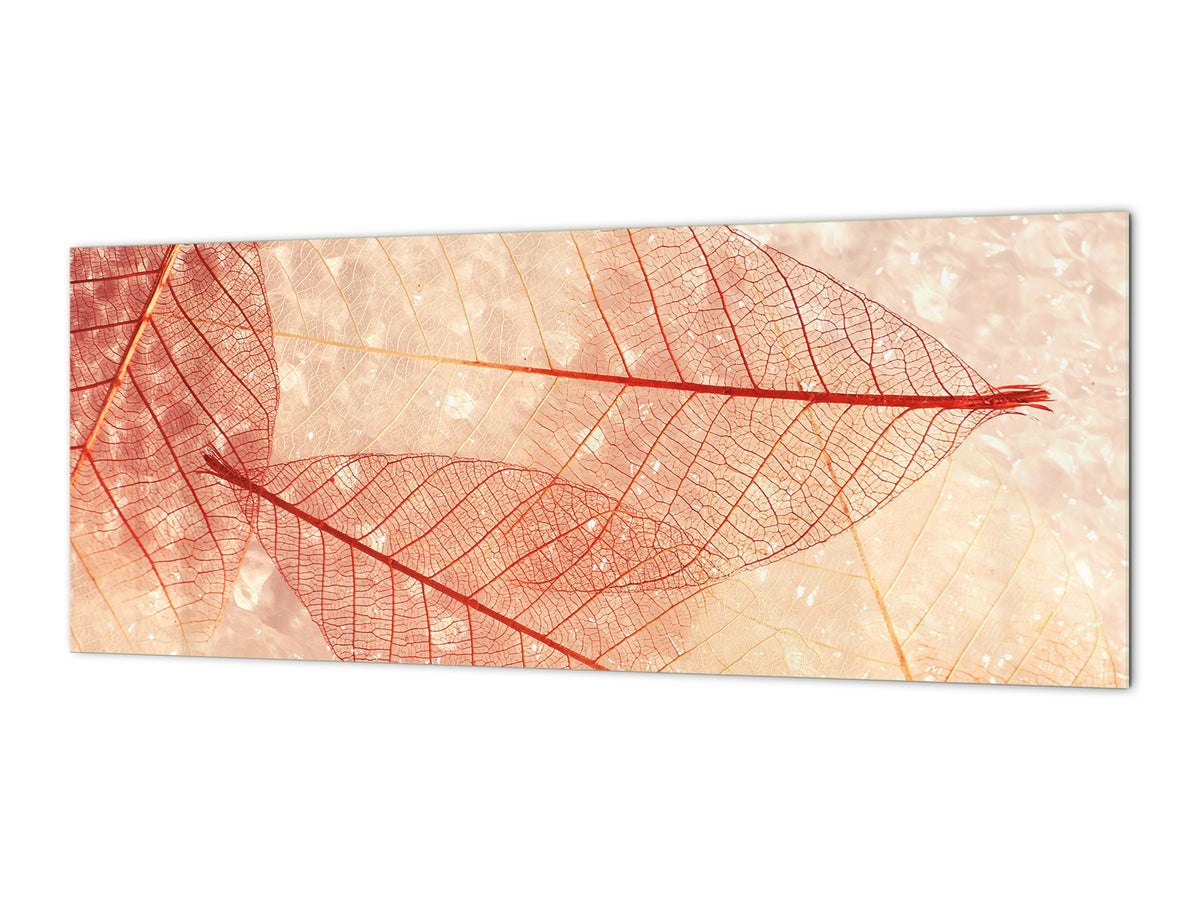Design glass backsplash - Tempered Glass BBS29 splashback w/wo magnetic properties : Nature Series : Transparent orange leaves