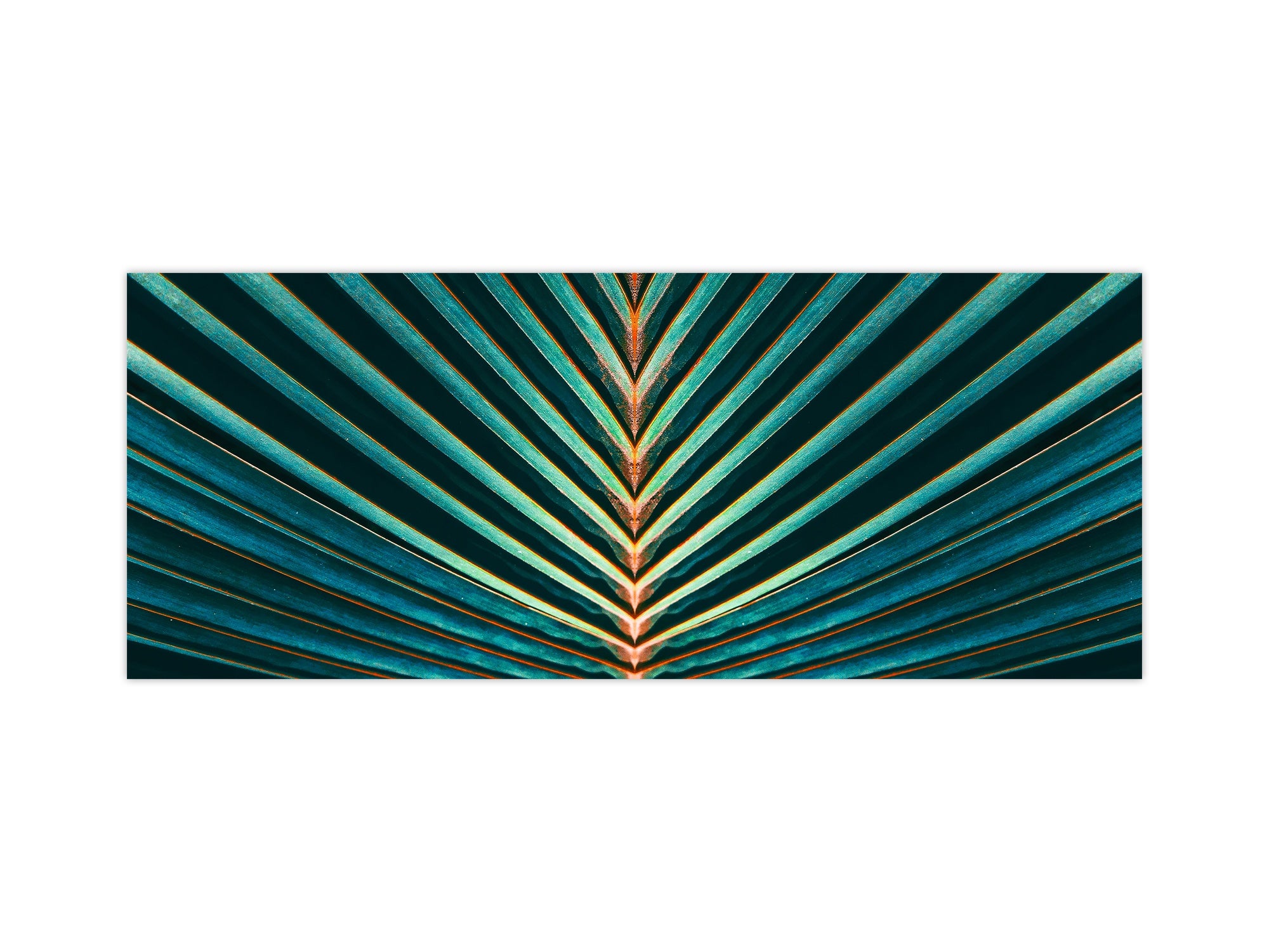 Design glass backsplash - Tempered Glass BBS29 splashback w/wo magnetic properties : Nature Series : Palm leaf