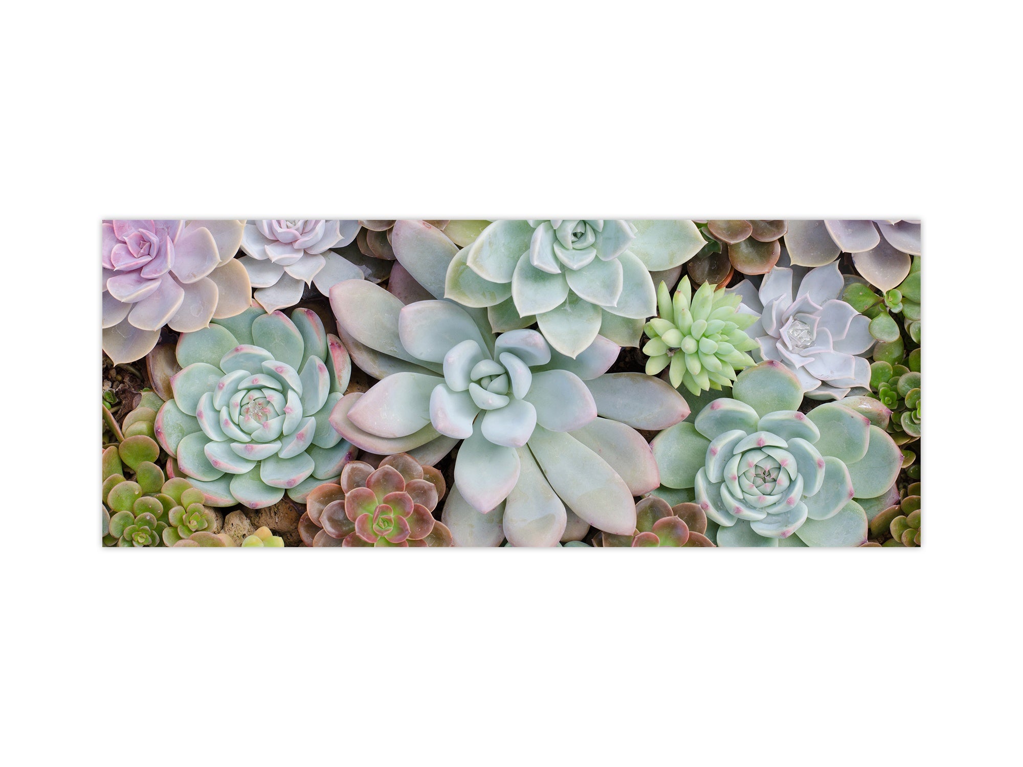 Design glass backsplash - Tempered Glass BBS29 splashback w/wo magnetic properties : Nature Series : Rock garden 2