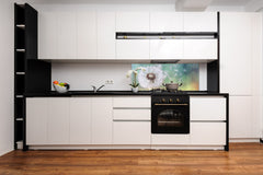 Design glass backsplash - Tempered Glass BBS29 splashback w/wo magnetic properties : Nature Series : Dandelion