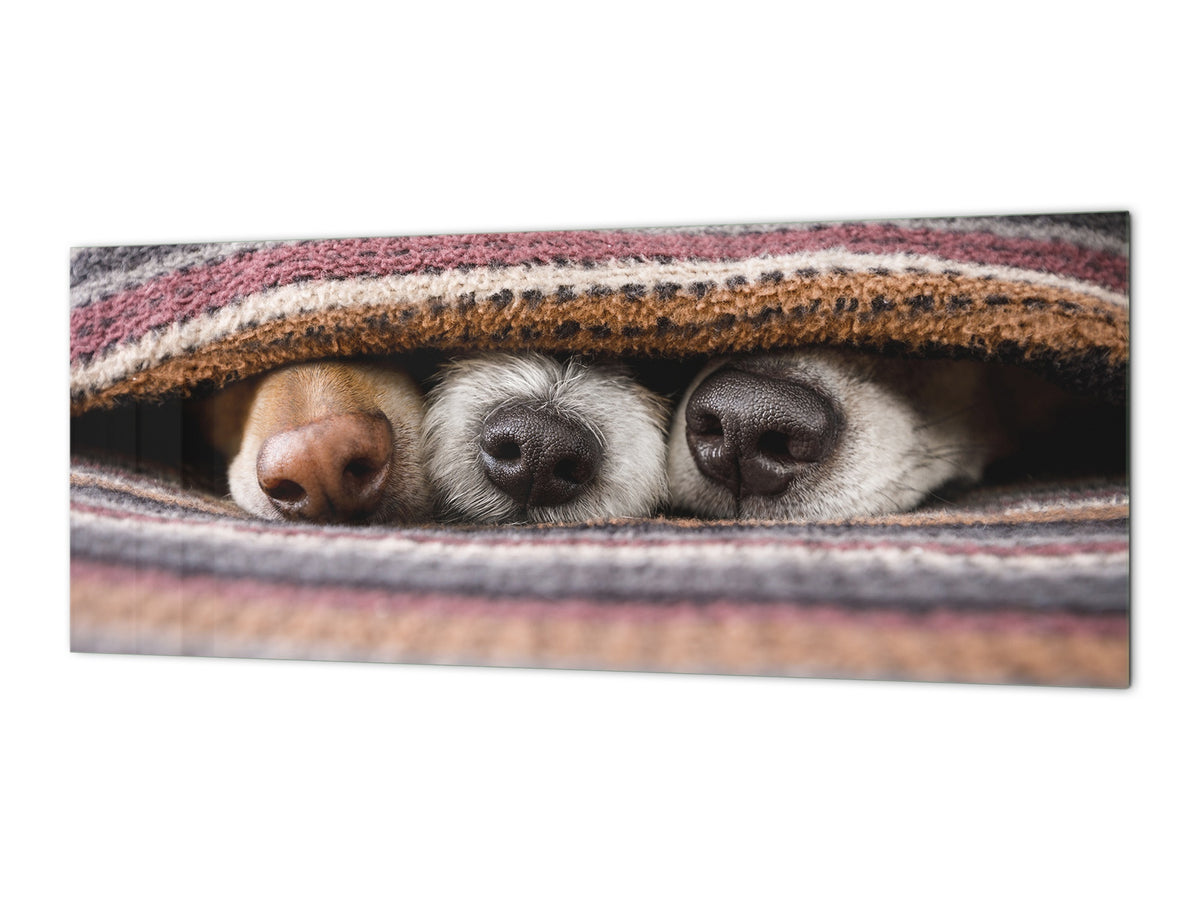 Stunning glass wall art - Wide format kitchen backsplash BBS32 w/wo magnetic properties : Animals series : Sleeping dogs