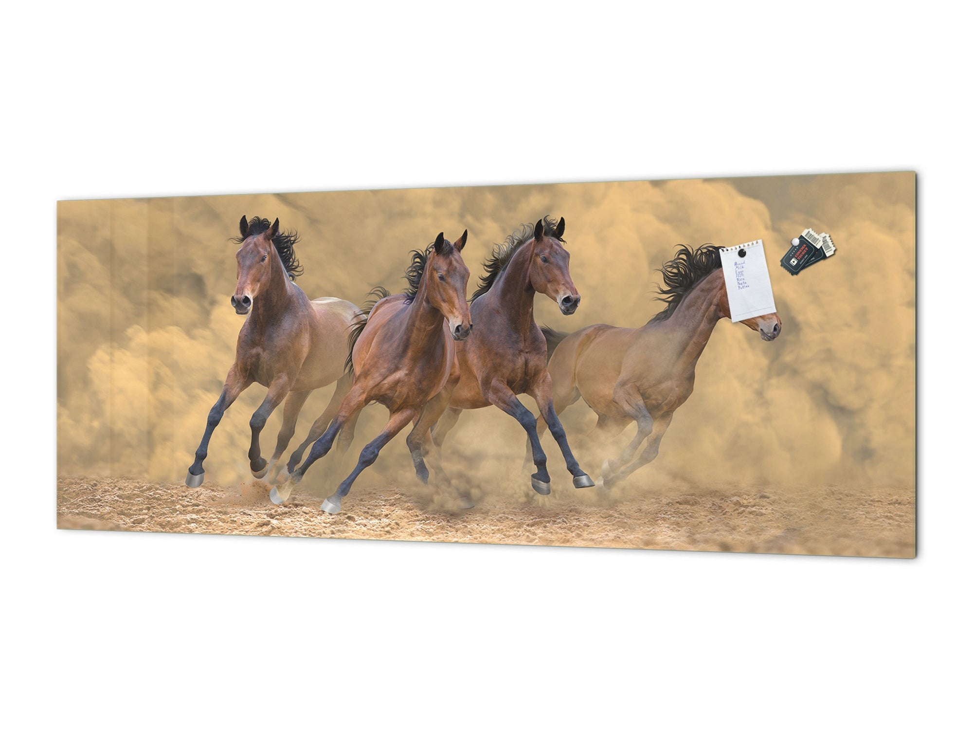 Stunning glass wall art - Wide format kitchen backsplash BBS32 w/wo magnetic properties : Animals series : Galloping horses