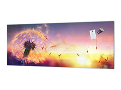 Design glass backsplash - Tempered Glass BBS29 splashback w/wo magnetic properties : Nature Series : Sunset dandelion