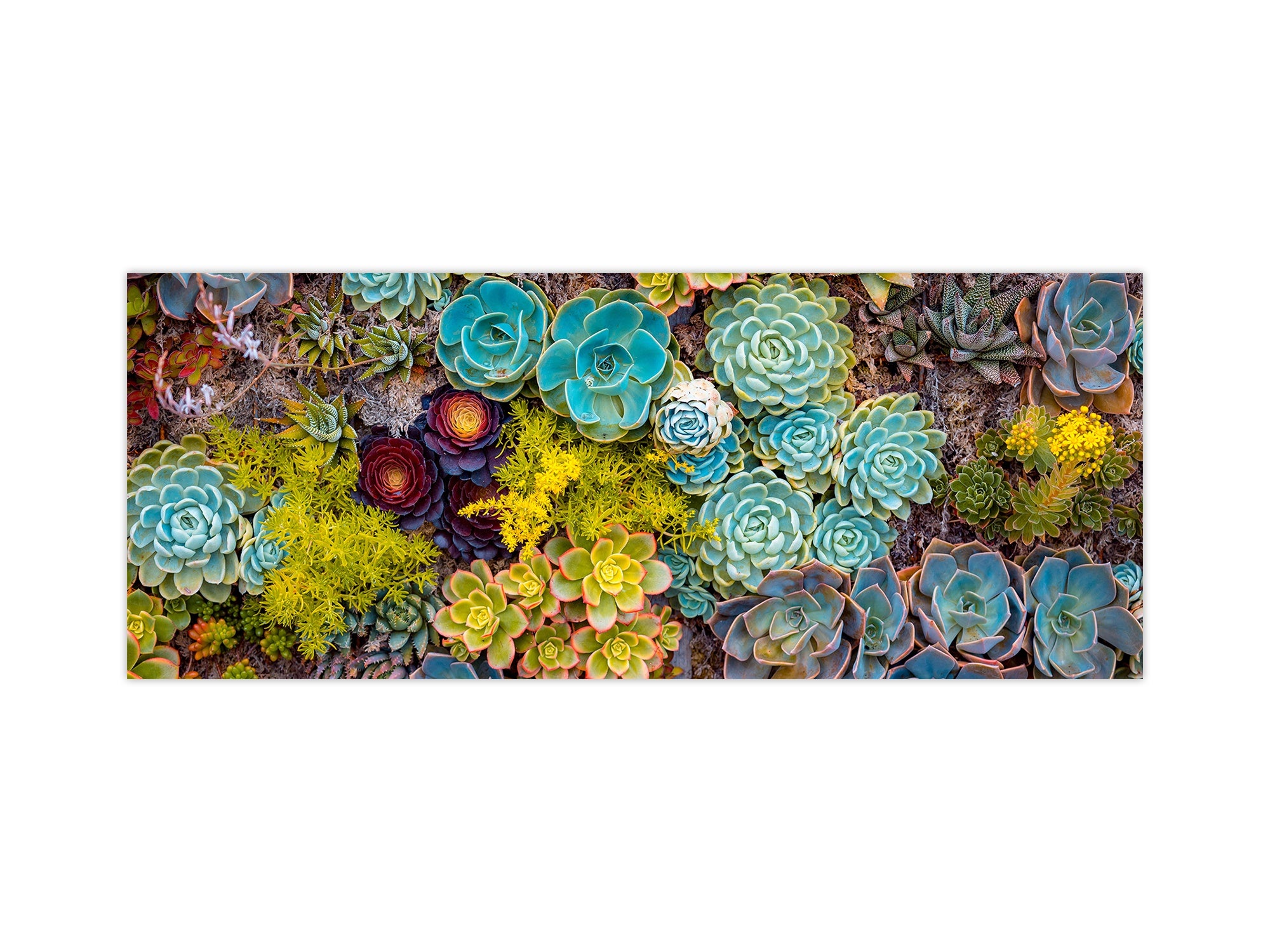 Design glass backsplash - Tempered Glass BBS29 splashback w/wo magnetic properties : Nature Series : Rock garden 1