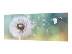 Design glass backsplash - Tempered Glass BBS29 splashback w/wo magnetic properties : Nature Series : Dandelion