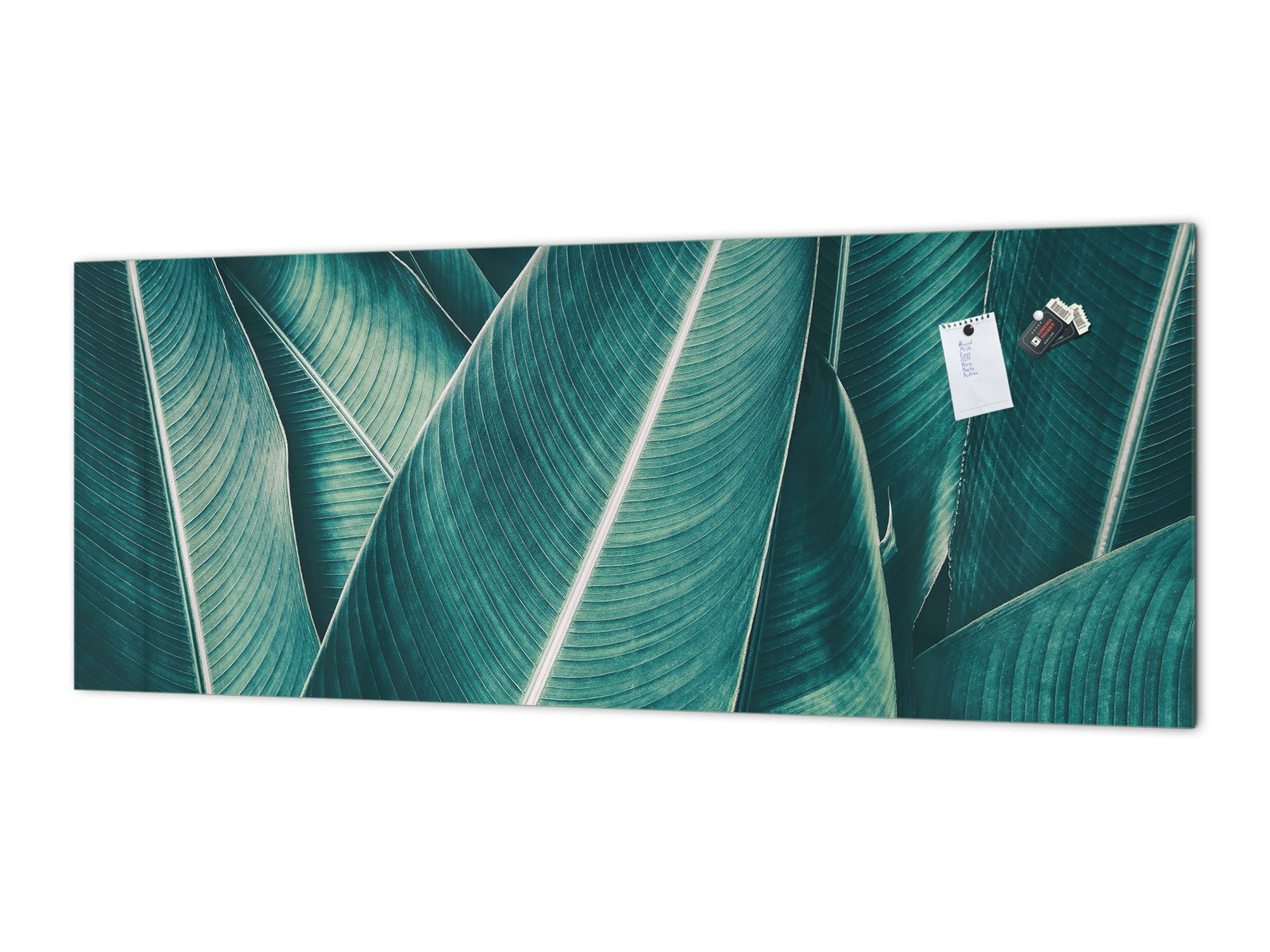 Design glass backsplash - Tempered Glass BBS29 splashback w/wo magnetic properties : Nature Series : Tropical leaves texture