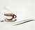 Kochplattenabdeckung Stove Cover und Schneideplatten D05 Coffee Series: Coffee 5