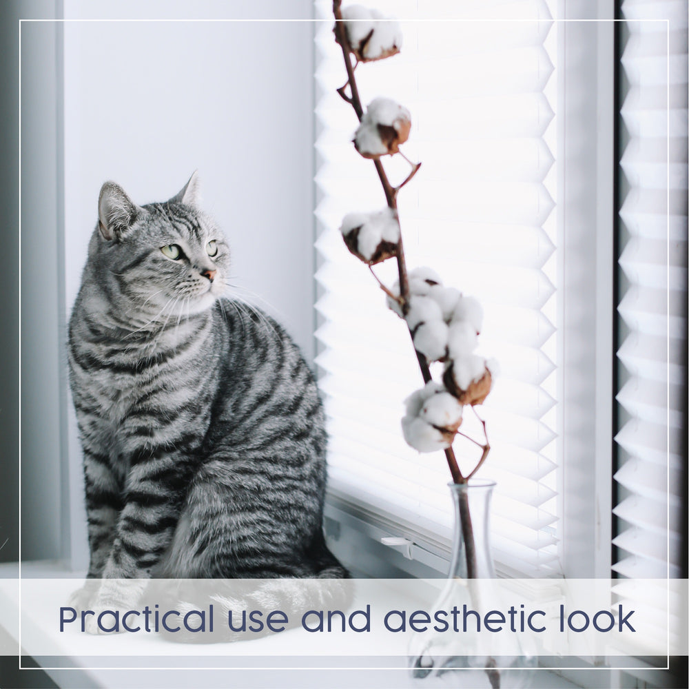 Blinds on a window showing a practical and aesthetic look.