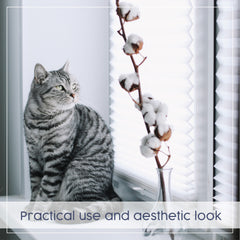 Blinds on a window showing a practical and aesthetic look.