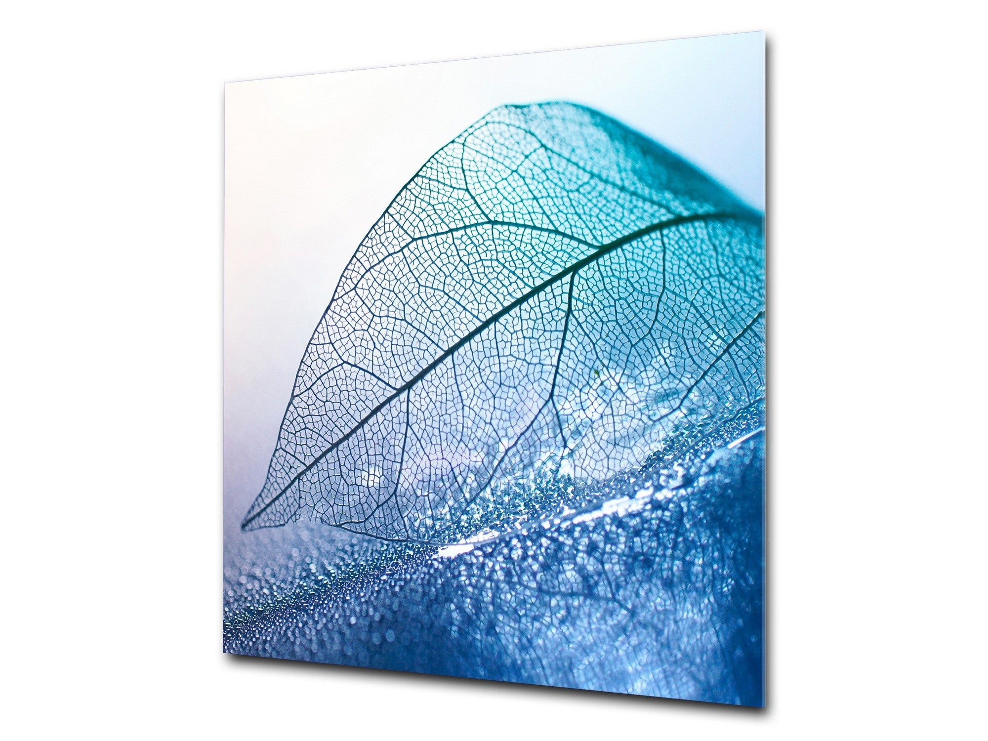 Stylish Tempered glass backsplash – Glass kitchen splashback – Glass upstand NBS14: Nature Series : Transparent blue leaf