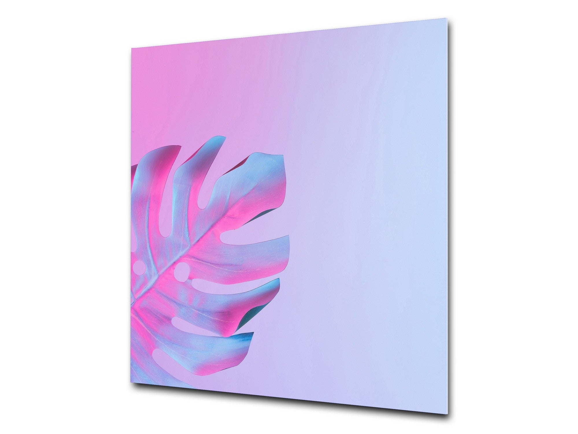 Stylish Tempered glass backsplash – Glass kitchen splashback – Glass upstand NBS14: Nature Series : Monstera deliciosa 1