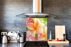 Stylish Tempered glass backsplash – Glass kitchen splashback – Glass upstand NBS14: Nature Series : Frangipani flower