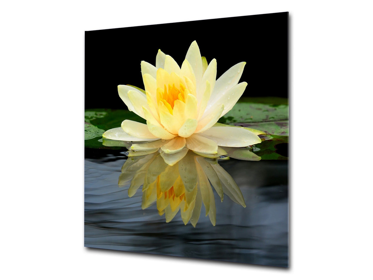 Stylish Tempered glass backsplash – Glass kitchen splashback – Glass upstand NBS14: Nature Series : Beautiful water lilly flower 2
