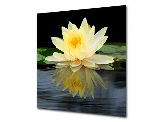 Stylish Tempered glass backsplash – Glass kitchen splashback – Glass upstand NBS14: Nature Series : Beautiful water lilly flower 2