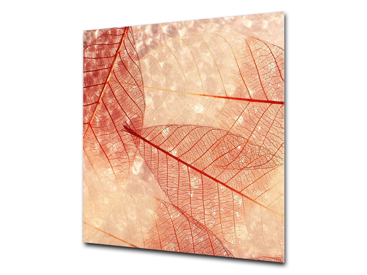 Stylish Tempered glass backsplash – Glass kitchen splashback – Glass upstand NBS14: Nature Series : Transparent orange leaves