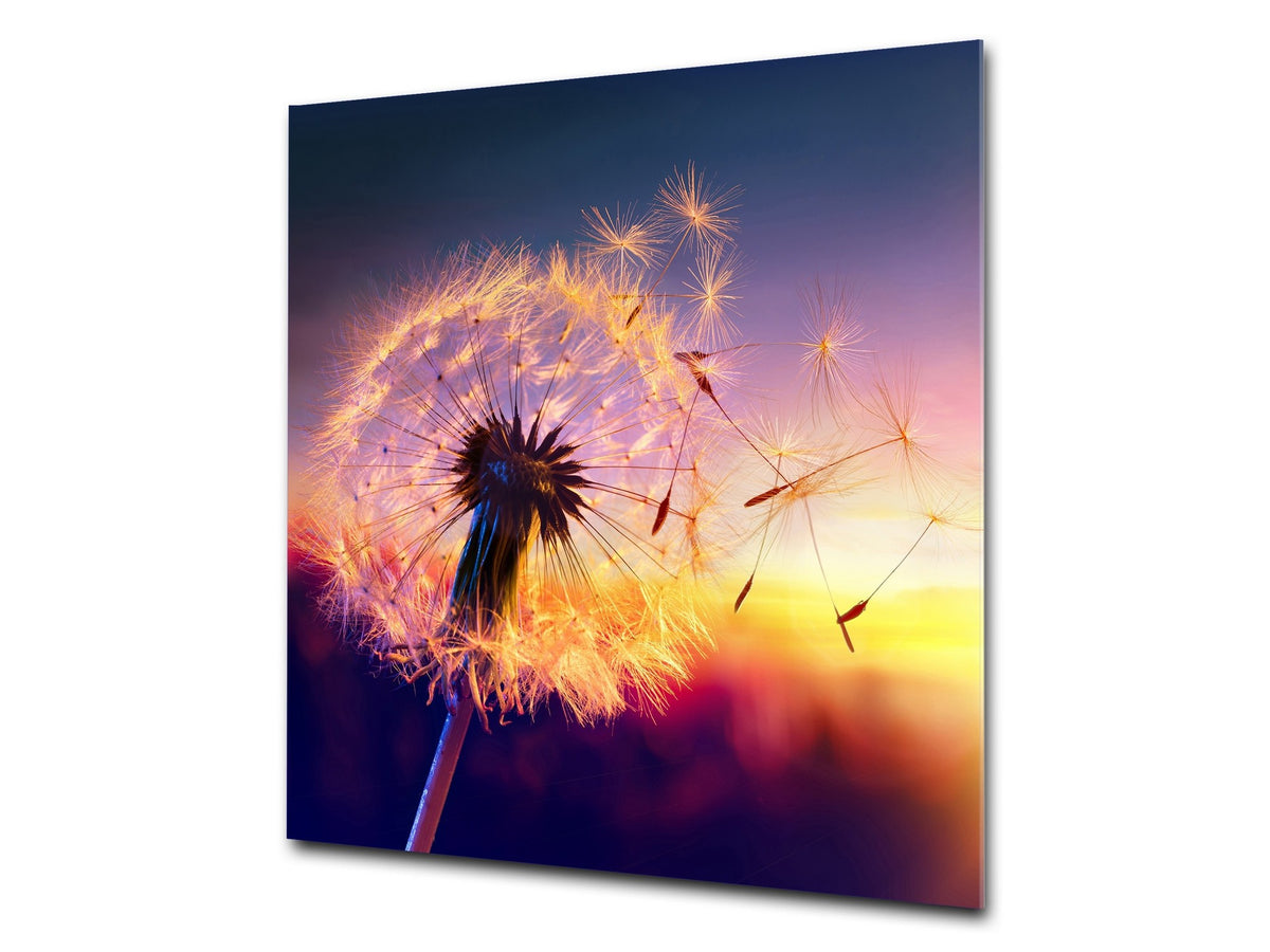 Stylish Tempered glass backsplash – Glass kitchen splashback – Glass upstand NBS14: Nature Series : Sunset dandelion