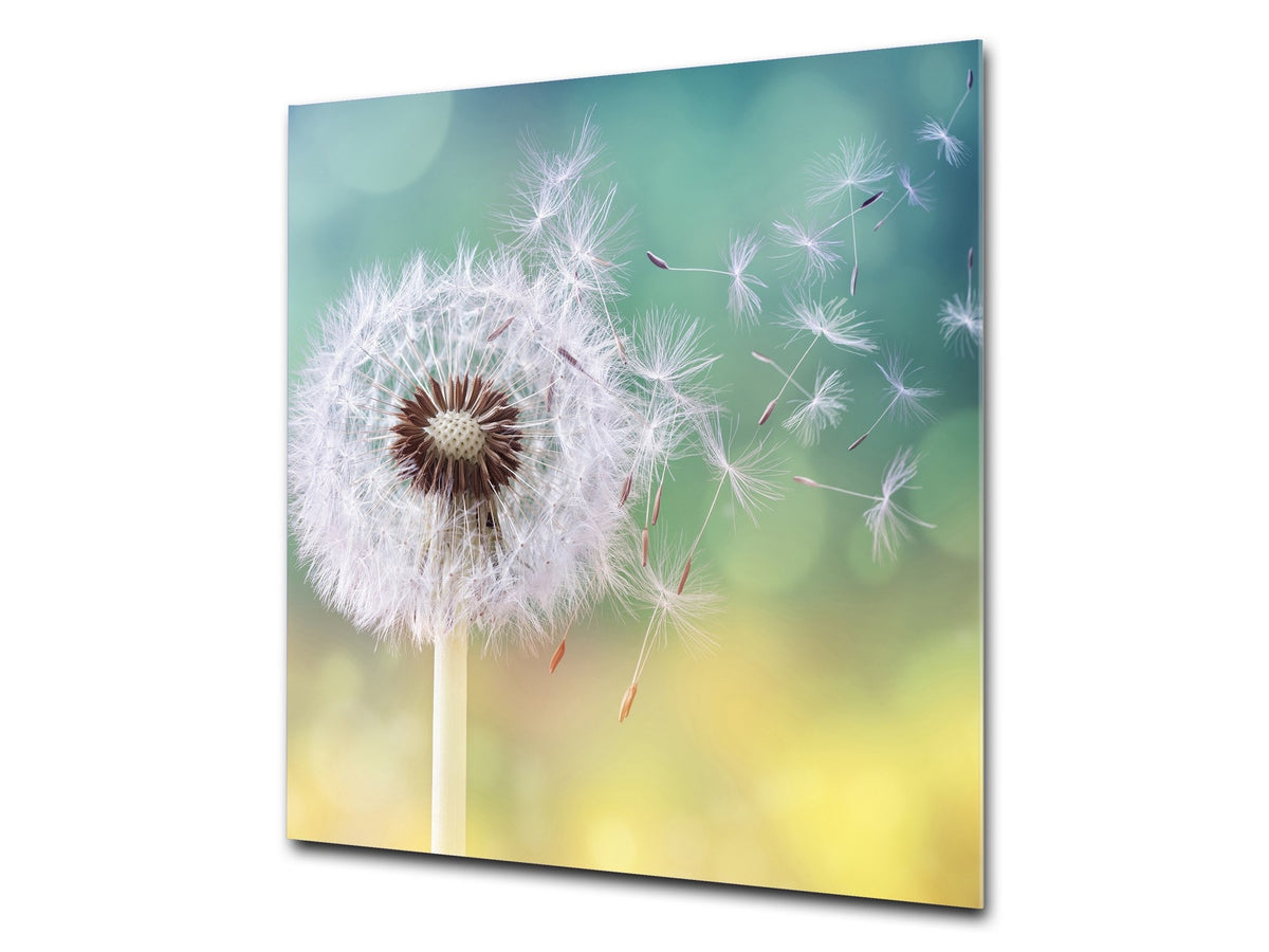 Stylish Tempered glass backsplash – Glass kitchen splashback – Glass upstand NBS14: Nature Series : Dandelion