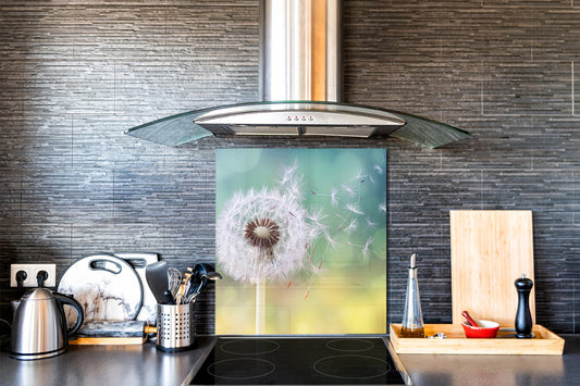 Stylish Tempered glass backsplash – Glass kitchen splashback – Glass upstand NBS14: Nature Series : Dandelion