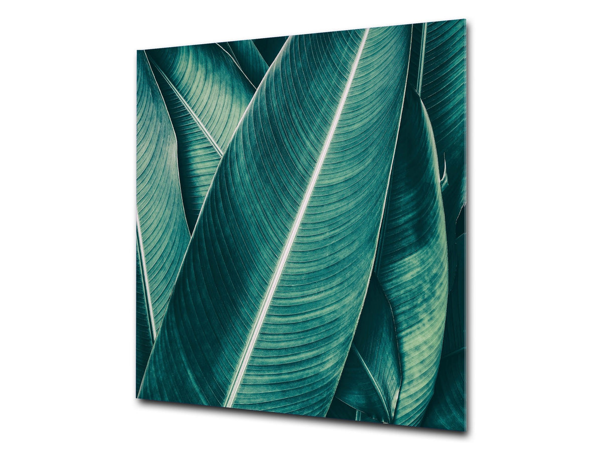 Stylish Tempered glass backsplash – Glass kitchen splashback – Glass upstand NBS14: Nature Series : Tropical leaves texture