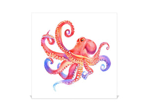Key Organizer Cabinet and Magnetic Glass Doors K08 Red Octopus Devilfish