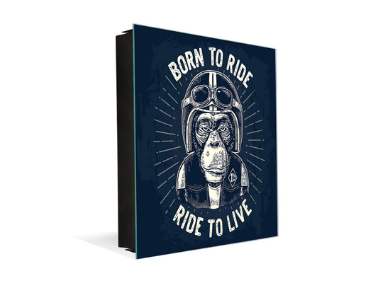 Cajetín de llaves con Pizarra de cristal K07 Monkey motorista