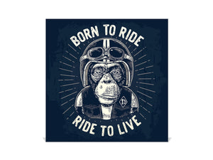 Cassettina decorativa per chiavi con immagini a scelta K07: Motociclista della scimmia