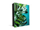 Decorative Key Organizer with Magnetic Surface Dry-Erase Board KN11 Tropical Leaves Series: Tropical leaves background