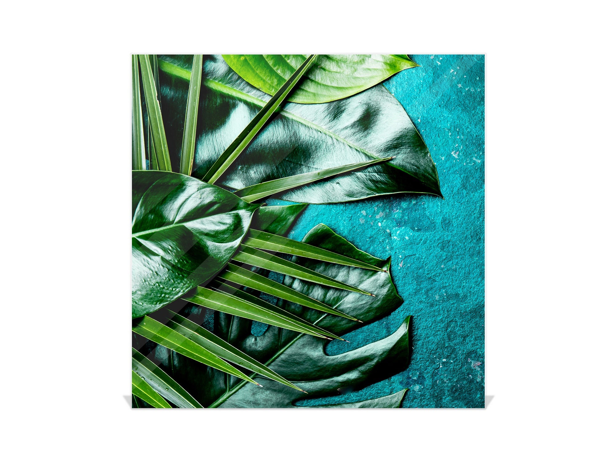 Decorative Key Organizer with Magnetic Surface Dry-Erase Board KN11 Tropical Leaves Series: Tropical leaves background