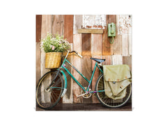 Decorative key Storage Cabinet K09 Bicycle on house wall