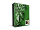 Decorative Key Organizer with Magnetic Surface Dry-Erase Board KN11 Tropical Leaves Series: Green monstera deliciosa