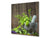Elegante Hartglasrückwand - Glasrückwand für Küche BS01 Serie Kräuter: Herbs Spices 7