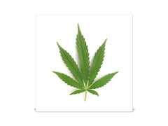 50 Key lock Box storage holder K04 Cannabis art