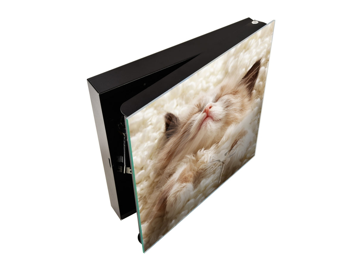 Elegant Key Organizer for 50 Key together K10 Little kitten sleeping