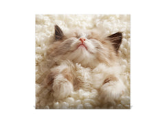 Elegant Key Organizer for 50 Key together K10 Little kitten sleeping