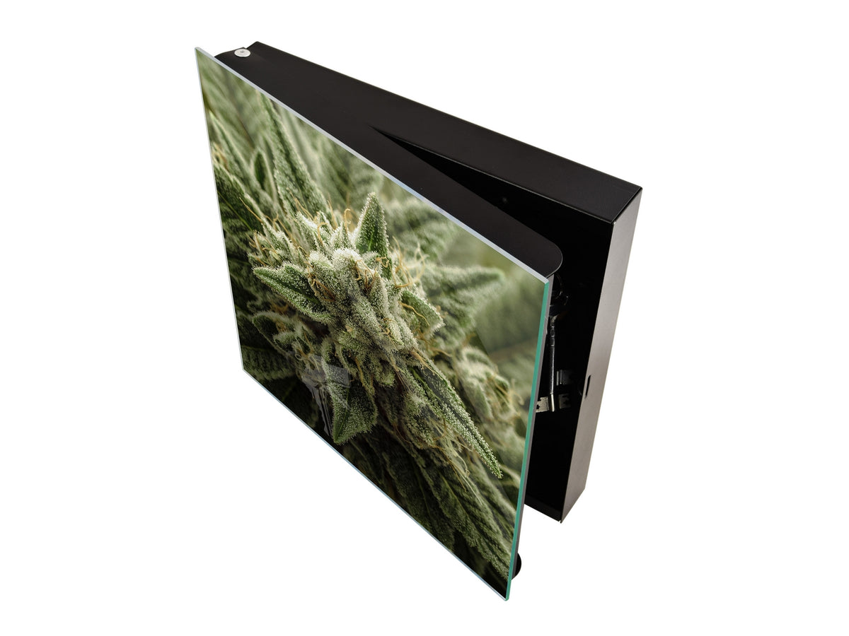 Petite armoire pour les clés avec décoration au choix K04 Une plante de cannabis vivante en fleurs