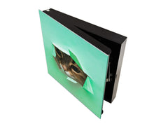 Key Organizer Cabinet and Magnetic Glass Doors K02 Fluffy cat