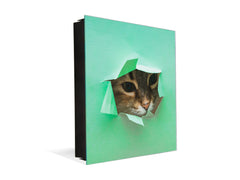 Key Organizer Cabinet and Magnetic Glass Doors K02 Fluffy cat