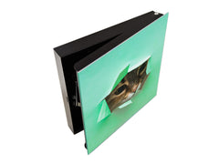 Key Organizer Cabinet and Magnetic Glass Doors K02 Fluffy cat