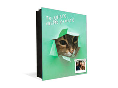 Key Organizer Cabinet and Magnetic Glass Doors K02 Fluffy cat