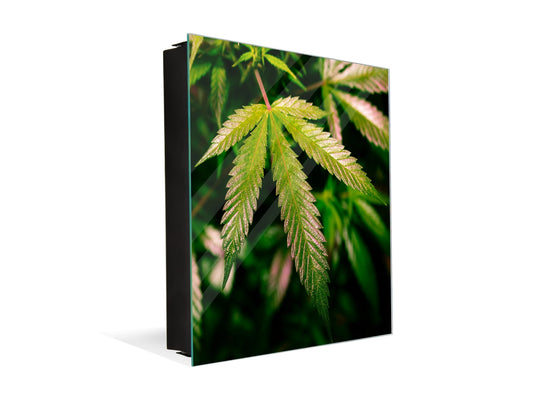 Key Storage Box K04 Magical California Cannabis