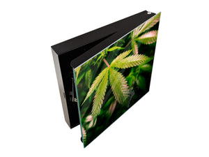 Key Storage Box K04 Magical California Cannabis