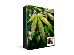 Key Storage Box K04 Magical California Cannabis